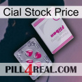 Cial Stock Price 32